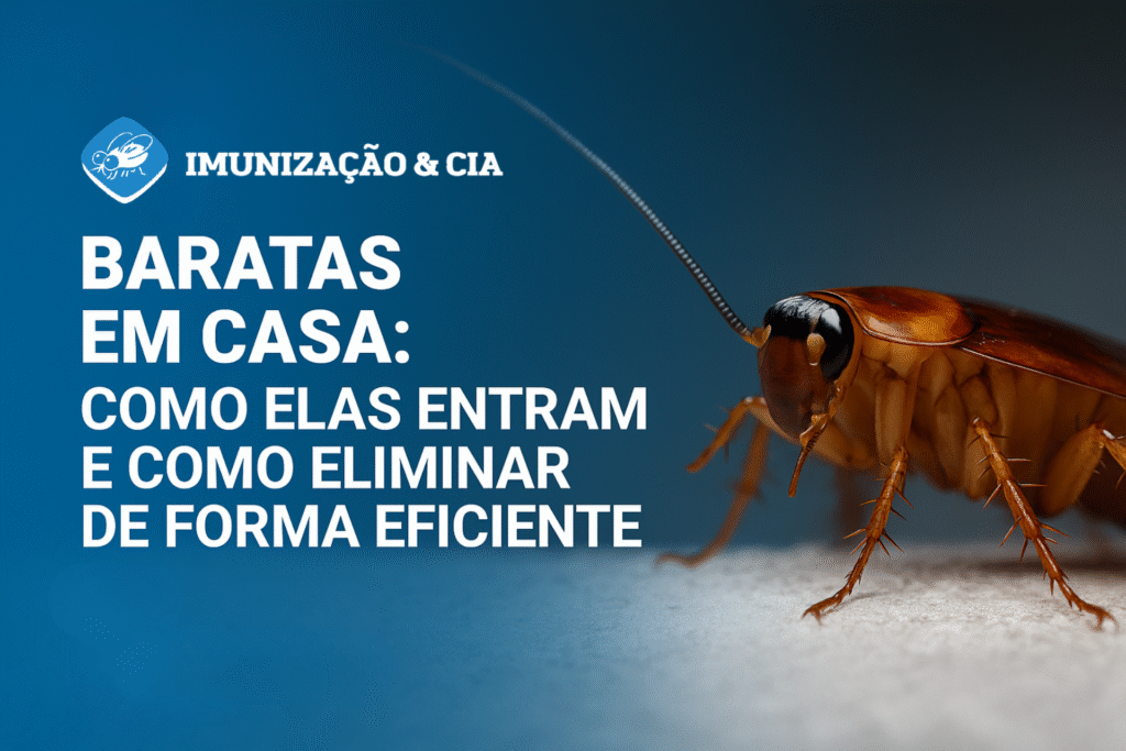 baratas em casa - como eliminar baratas