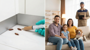 24 horas após a dedetização profissional